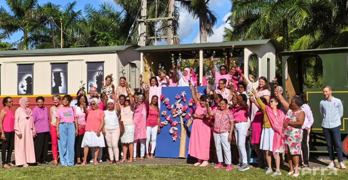 Un mois d’octobre couleur rose pour Terra