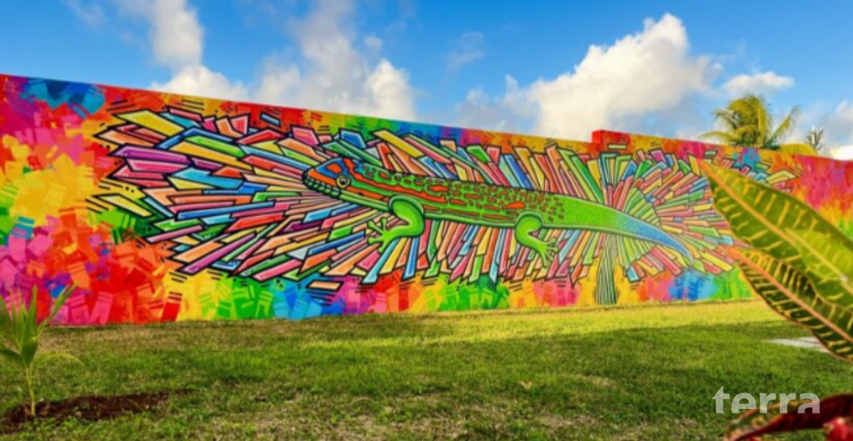 Le point sur Bois Rouge